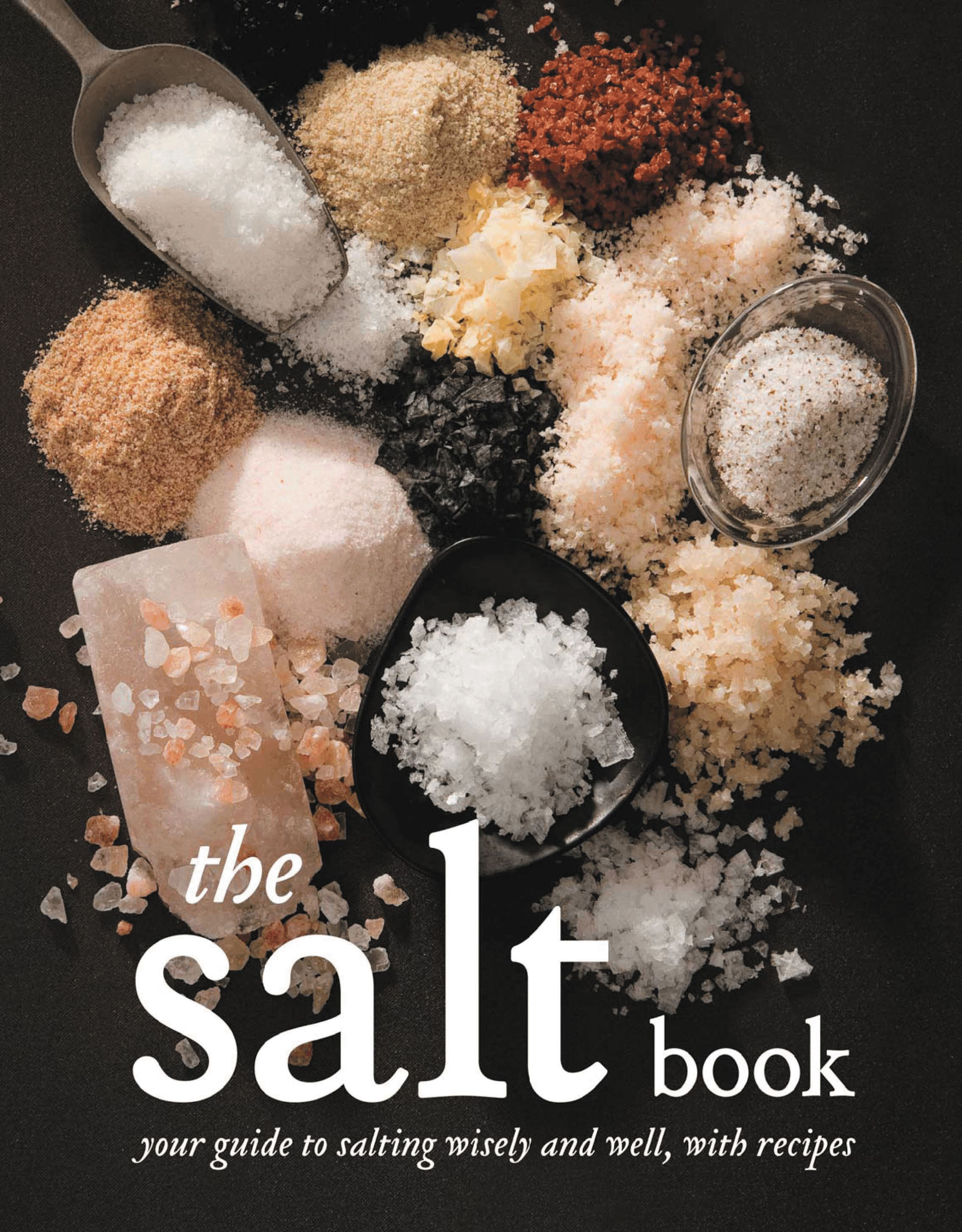 Salt-cover_front-CMYK